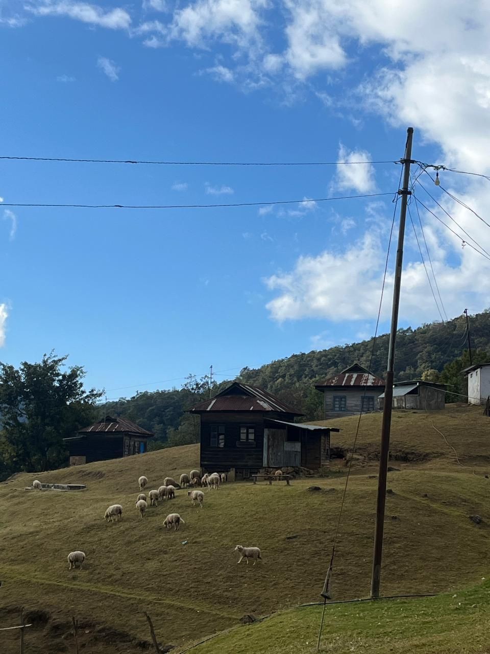 A scenic view of Poilwa Sheep Farm located within Poilwa Village of Ngwalwa Circle, Peren district. The site has become a popular tourist attraction of Nagaland over the years owing to its natural scenic beauty. (Morung Photo)
